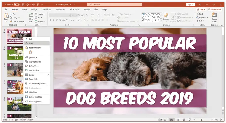 How to copy a slide in powerpoint right-click