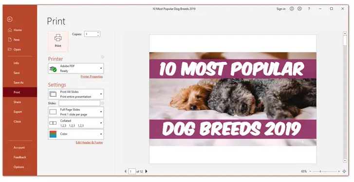 How to print powerpoint with notes print section