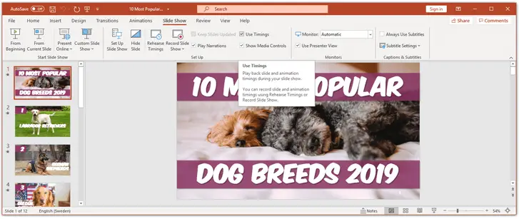 The slide show ribbon in powerpoint