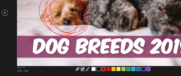 The annotation bar in PowerPoint, used to make a red circle around a dog using the pen tool.  On the left corner a clock show time spent on each slide versus total time of the slideshow. 